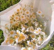 1605770815728764.jpg F10.jpg